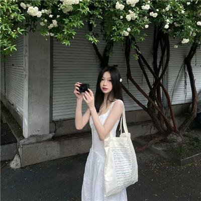 熊族之旅