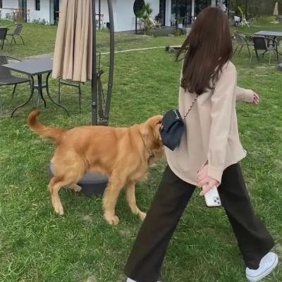 从今以后